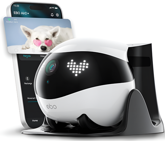 EBO Air 2 Companion Robot